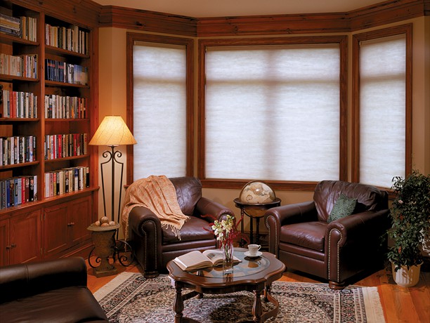 Double cell cellulars