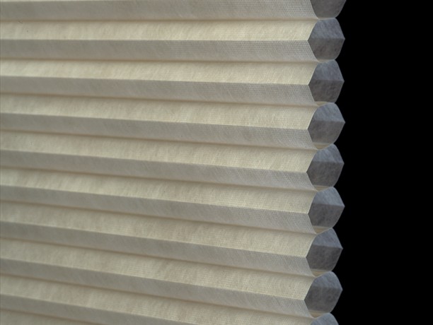 Single cell cellulars